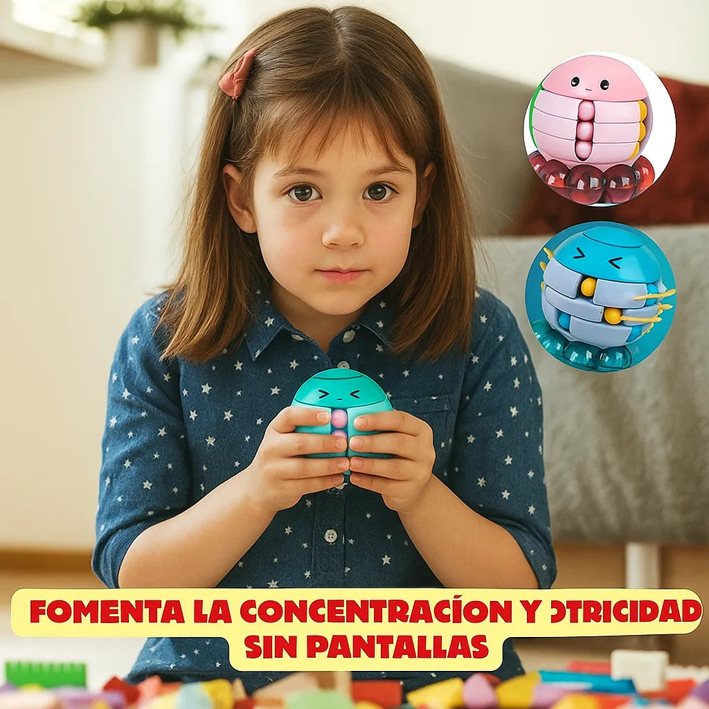 PULPO DIDACTICO CONCENTRIN INICIAL